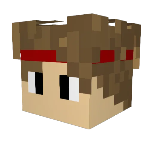 _TerminatorT100_ Minecraft avatar head, 3D render