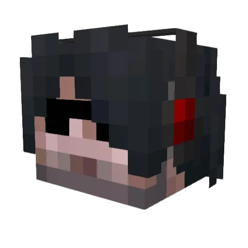 _TerriblePlayer_ Minecraft avatar head, 3D render
