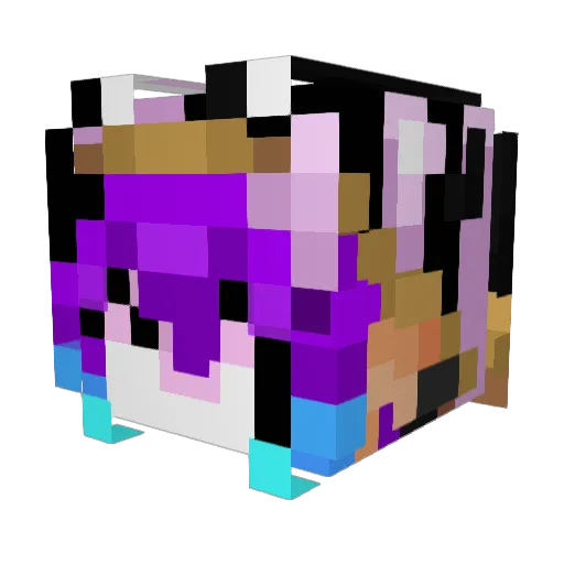 _TerryFied Minecraft avatar head, 3D render