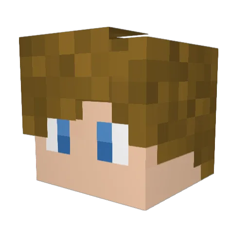 _TheBeaker Minecraft avatar head, 3D render