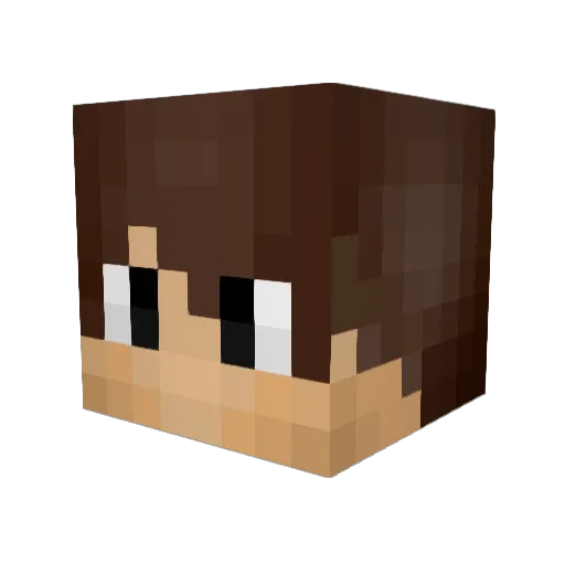 _TheCrafter99_ Minecraft avatar head, 3D render