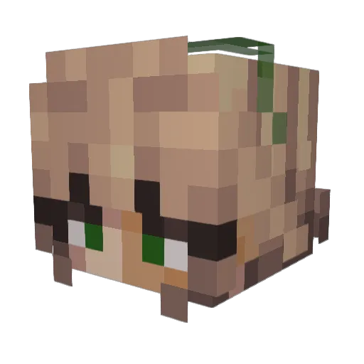 _TheCurly Minecraft avatar head, 3D render