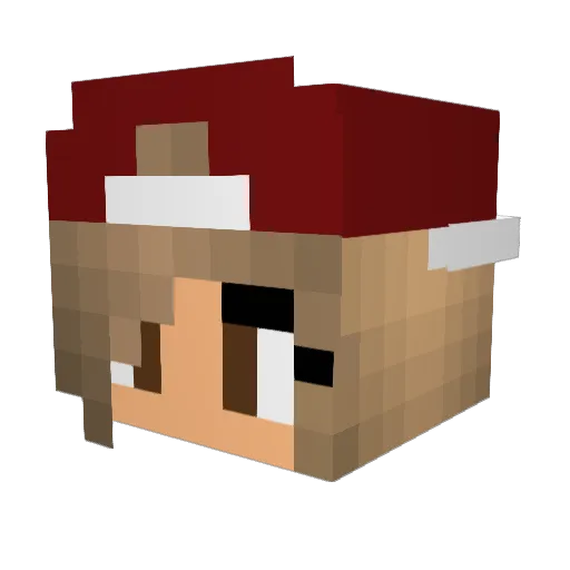 _TheDarker_ Minecraft avatar head, 3D render