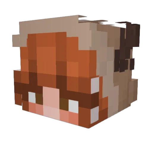 _TheDestroyer_ Minecraft avatar head, 3D render