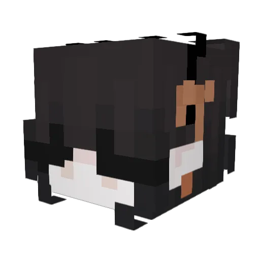 _TheQuietKid Minecraft avatar head, 3D render