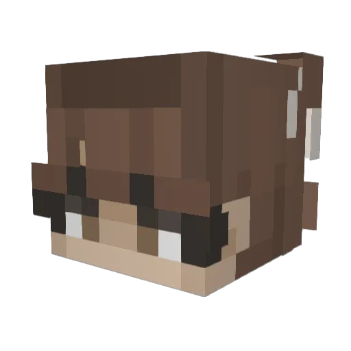 _TheRedMan Minecraft avatar head, 3D render