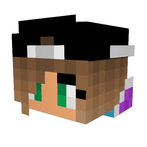 _TheSheWolf Minecraft avatar head, 3D render