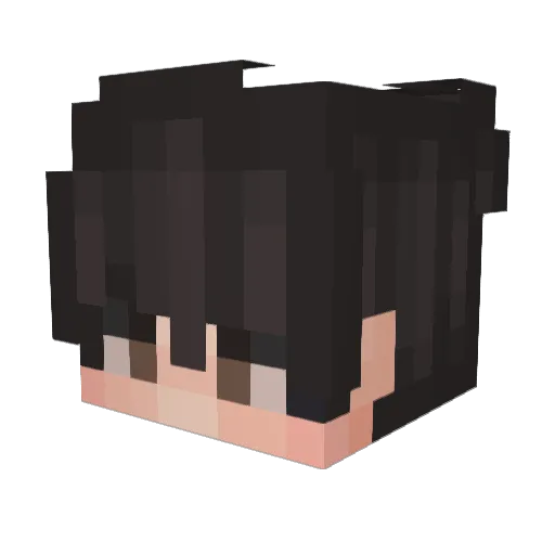 _TheSowerOfChaos Minecraft avatar head, 3D render