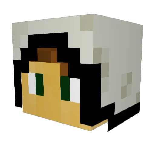 _The_Wedge_ Minecraft avatar head, 3D render