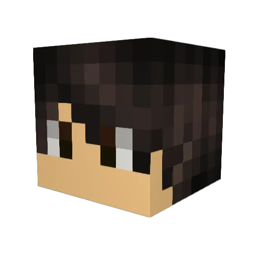 _Theo016 Minecraft avatar head, 3D render