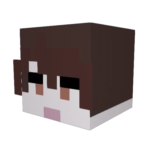 _Therocket Minecraft avatar head, 3D render