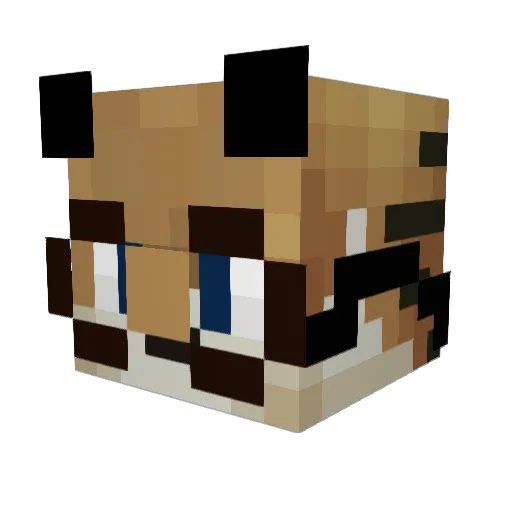 _ThugFahad_ Minecraft avatar head, 3D render