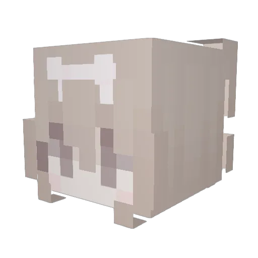 _Tiantian_ Minecraft avatar head, 3D render