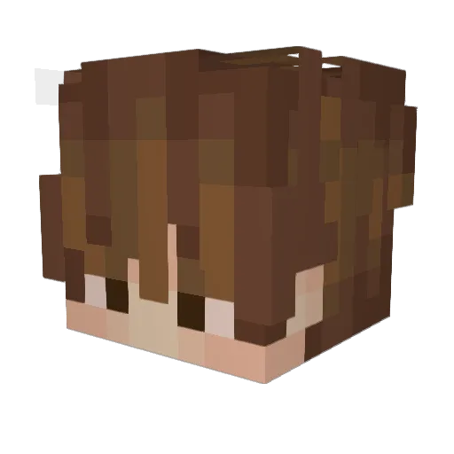 _TiceTiceBaby_ Minecraft avatar head, 3D render