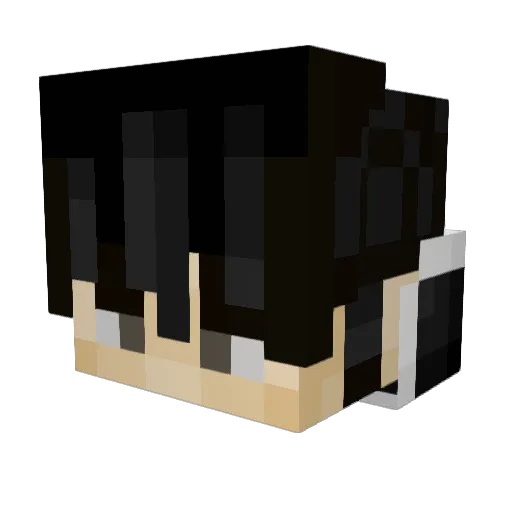 _Tidal Minecraft avatar head, 3D render