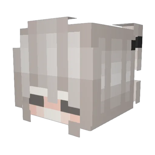 _TigerBean_ Minecraft avatar head, 3D render