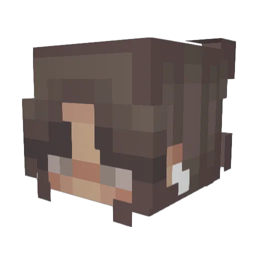 _Tiger_Lily_ Minecraft avatar head, 3D render