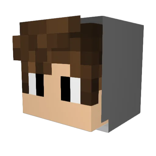 _TimGHG Minecraft avatar head, 3D render