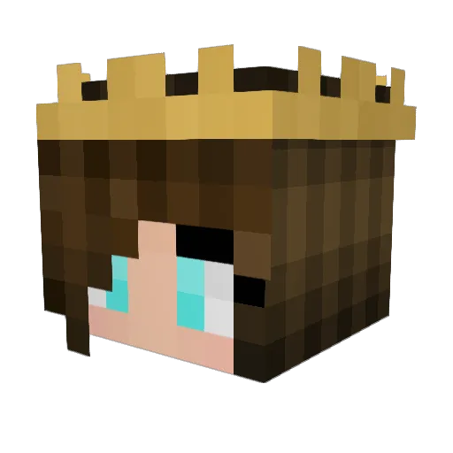 _TinSpeederMan_ Minecraft avatar head, 3D render