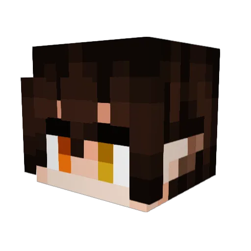 _Tinwe_ Minecraft avatar head, 3D render