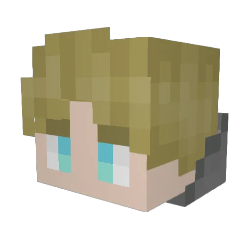 _TinyWolf_ Minecraft avatar head, 3D render