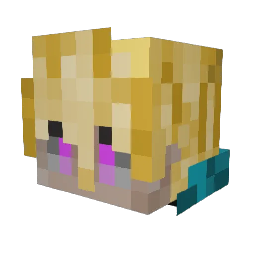 _Tobi Minecraft avatar head, 3D render