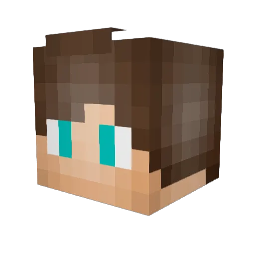 _Tollo_ Minecraft avatar head, 3D render