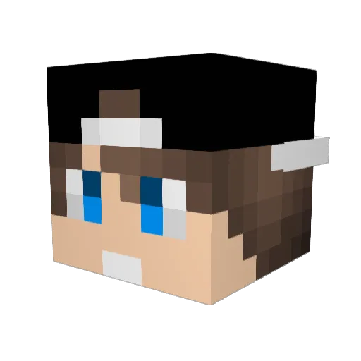 _Tolpia_ Minecraft avatar head, 3D render