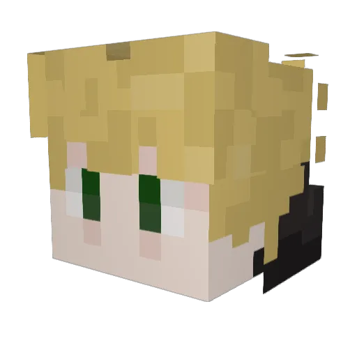 _Tom_07 Minecraft avatar head, 3D render