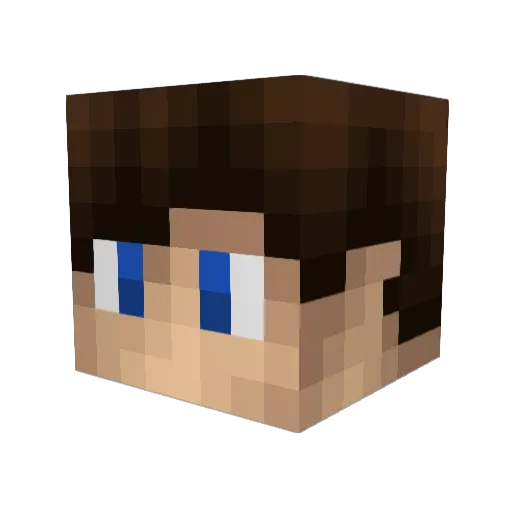 _Tom_L Minecraft avatar head, 3D render
