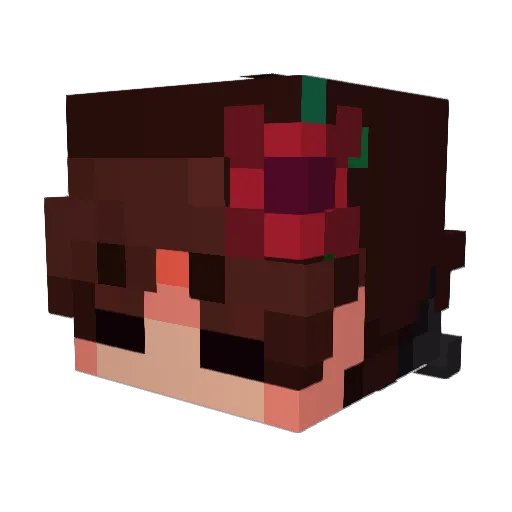 _TomaChi_ Minecraft avatar head, 3D render