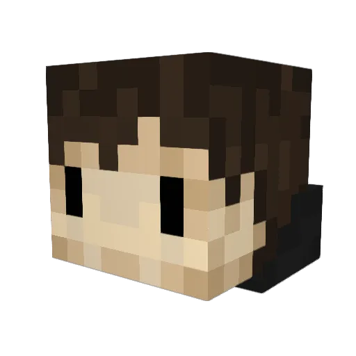_Tortis Minecraft avatar head, 3D render