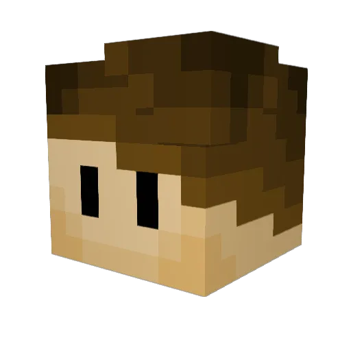 _Toshiko_ Minecraft avatar head, 3D render