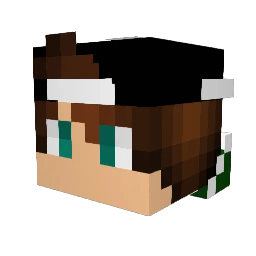 _Toxic_Punisher_ Minecraft avatar head, 3D render