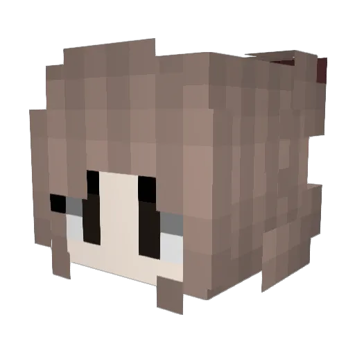 _Tr3ndy Minecraft avatar head, 3D render