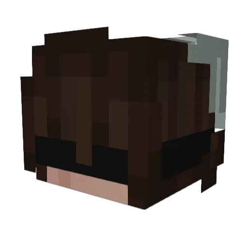 _Tree Minecraft avatar head, 3D render