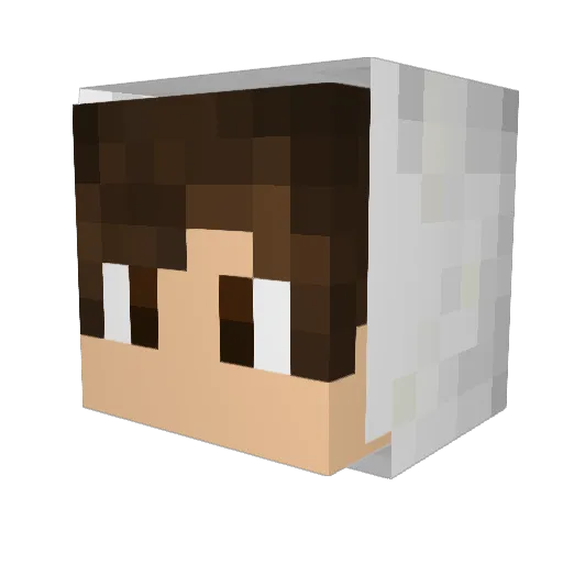 _Trentin_ Minecraft avatar head, 3D render