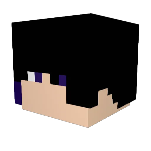 _TruKing_ Minecraft avatar head, 3D render