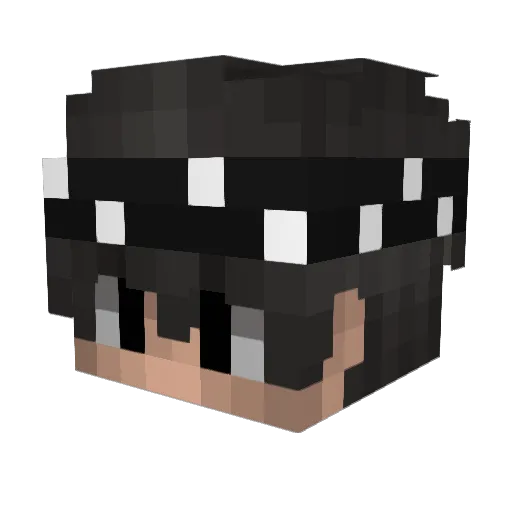 _TrueOndraaseq Minecraft avatar head, 3D render