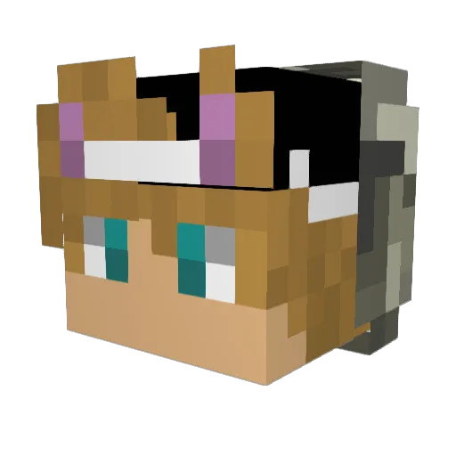 _TrueStepppa Minecraft avatar head, 3D render