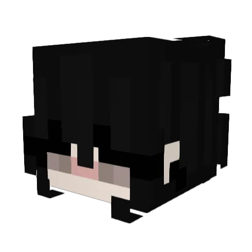 _Truly__ Minecraft avatar head, 3D render
