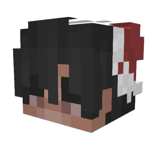 _TrustMePepe_ Minecraft avatar head, 3D render
