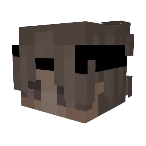 _Tryx_ Minecraft avatar head, 3D render
