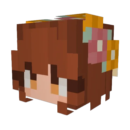 _Tucnak12_ Minecraft avatar head, 3D render