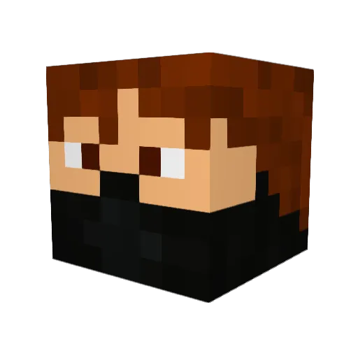 _Tullamore_ Minecraft avatar head, 3D render