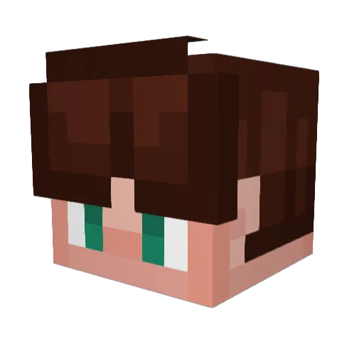 _Tuna_Fish Minecraft avatar head, 3D render