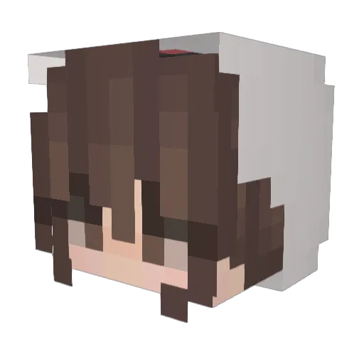 _Turtle_2002 Minecraft avatar head, 3D render