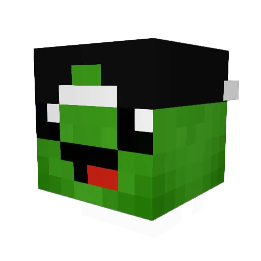 _Turtlez Minecraft avatar head, 3D render