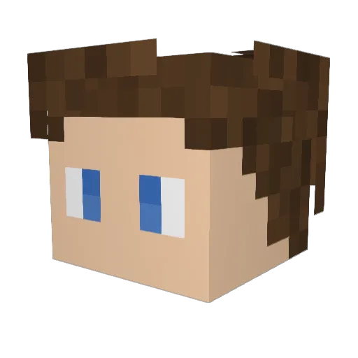 _Twang_ Minecraft avatar head, 3D render