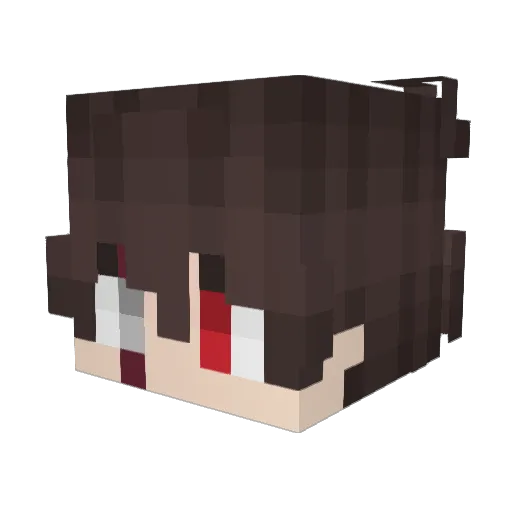 _Tynox_ Minecraft avatar head, 3D render